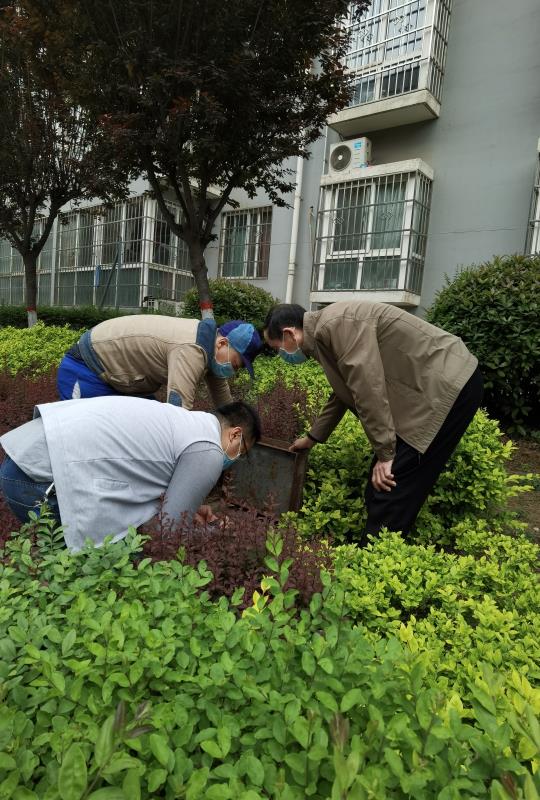 雁塔校区绿化浇灌水管检修